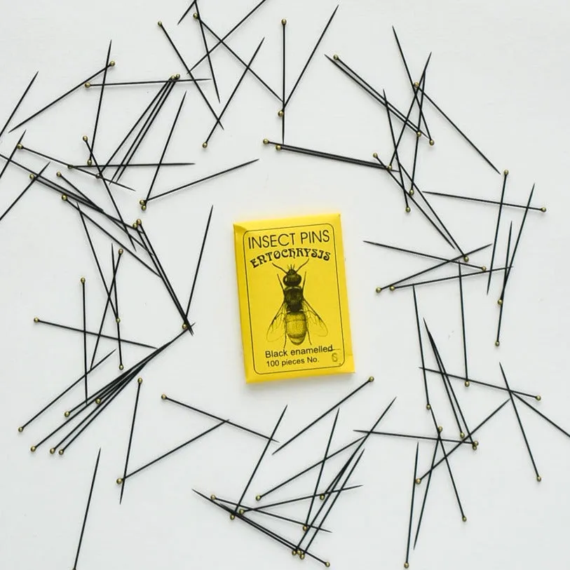 Black Enamelled Sewing Pins