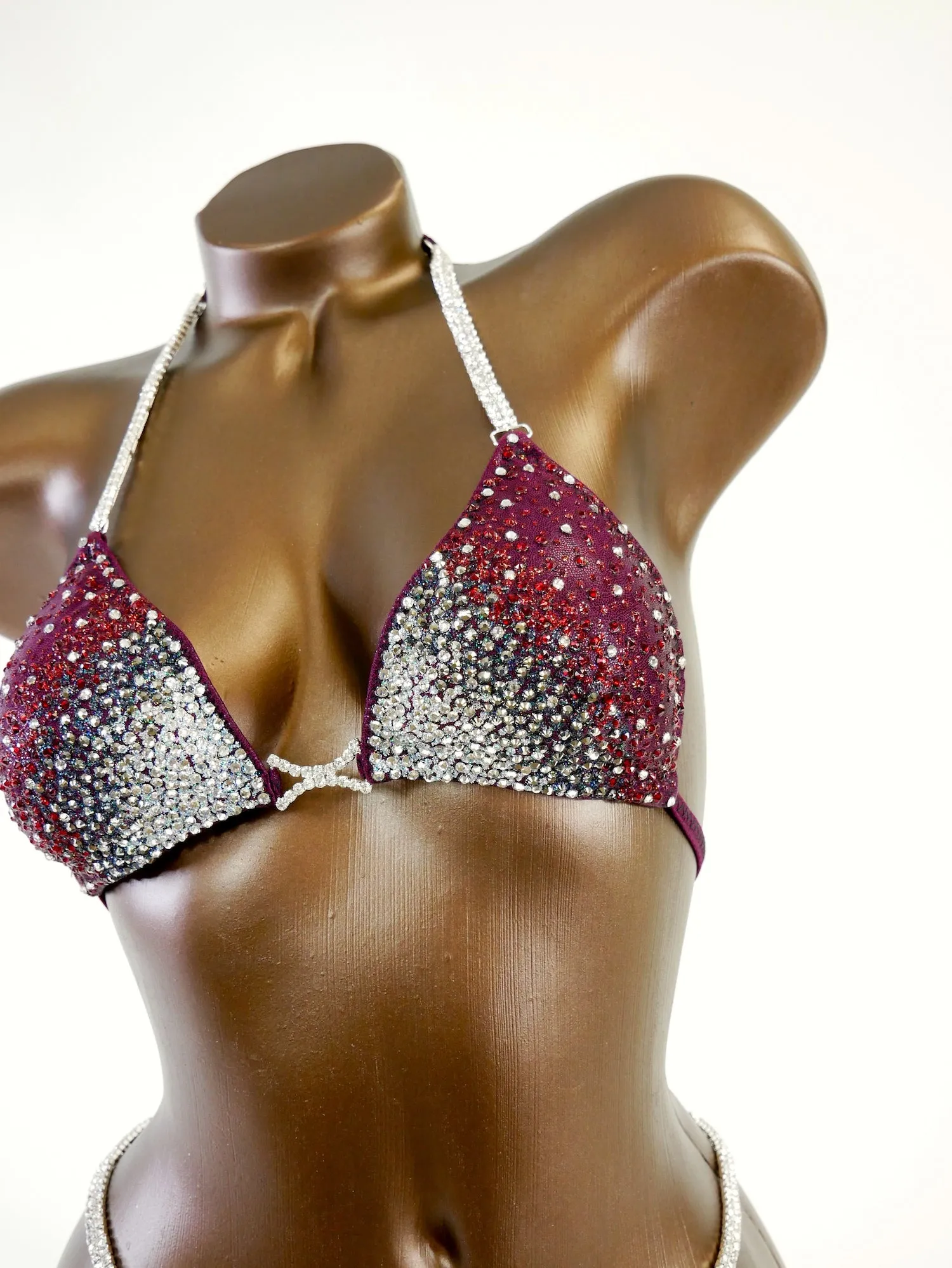 Burgundy Bling Bikini Suit