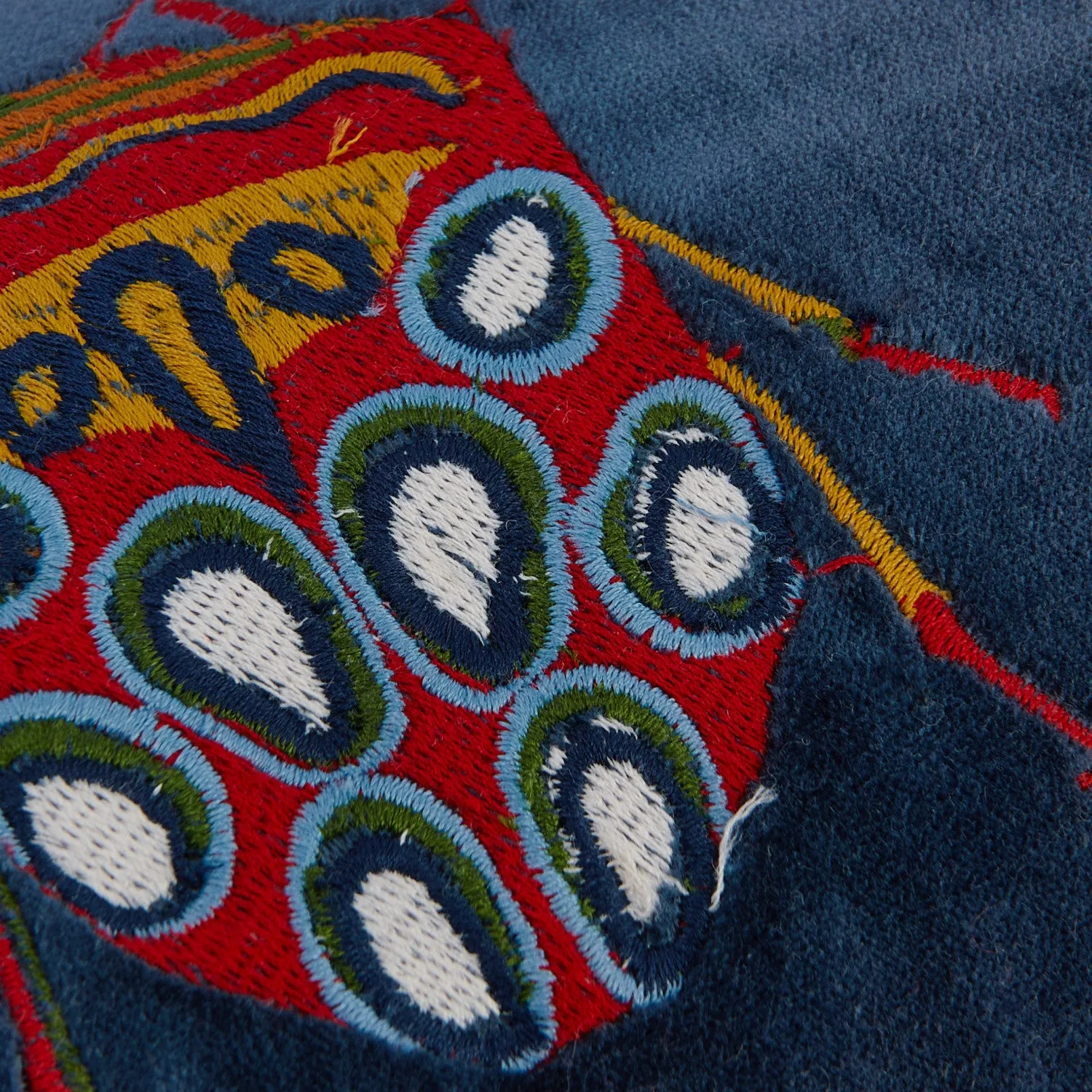 Embroidered Velvet Bug Pillow