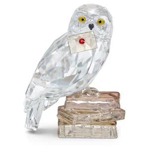 HEDWIG 5585969