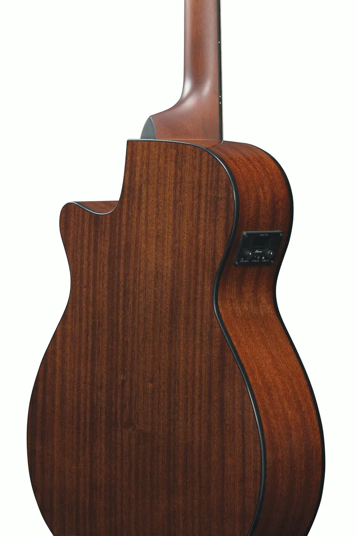 Ibanez AEG50 IBH Acoustic Guitar