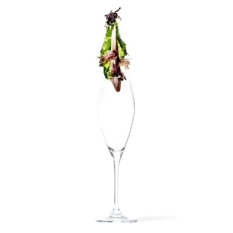 Jan Champagne Glass 300ml Set Of 4 JH000033
