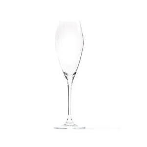 Jan Champagne Glass 300ml Set Of 4 JH000033