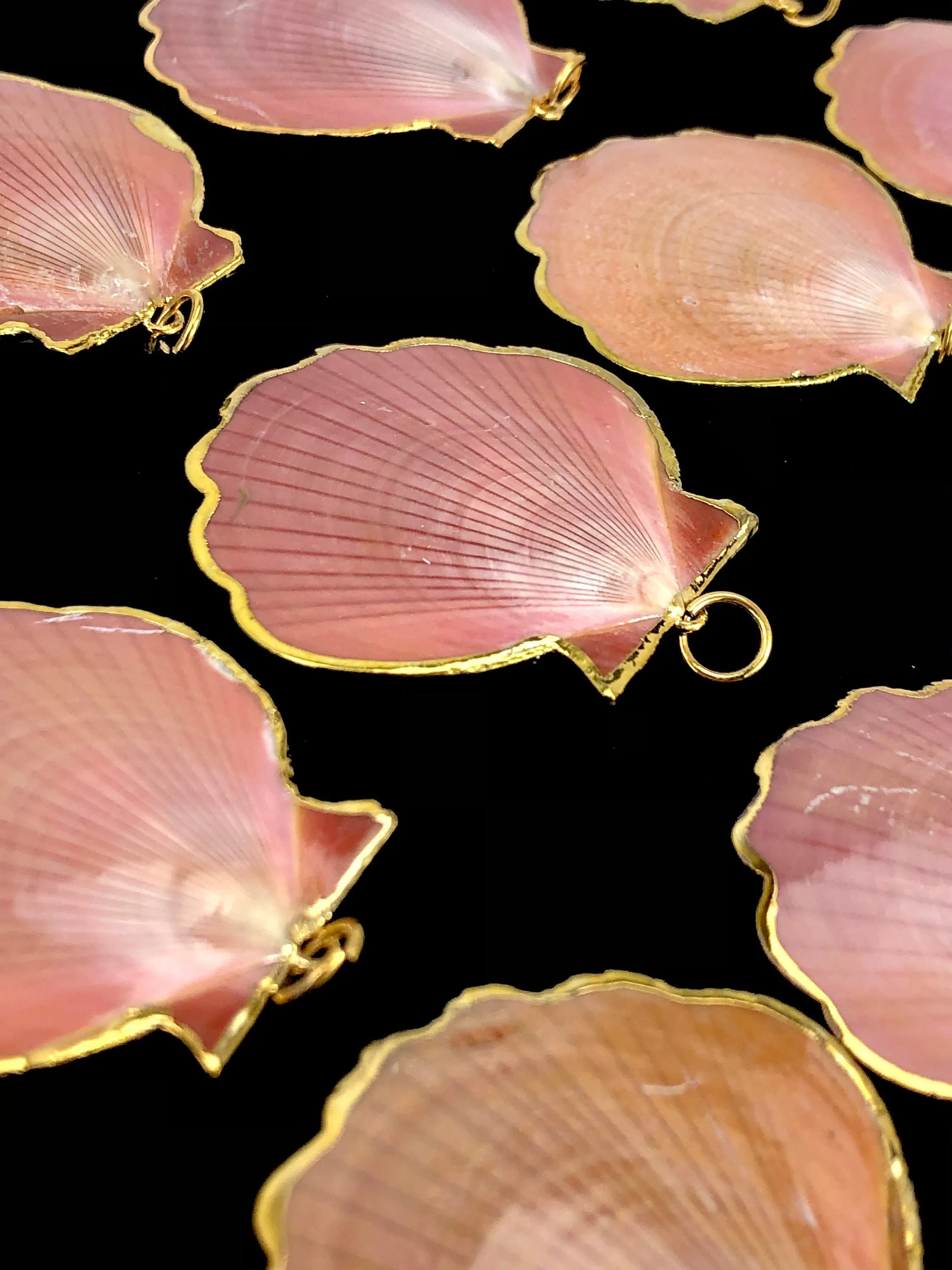 Mother Of Pearl Shells Sku#M665
