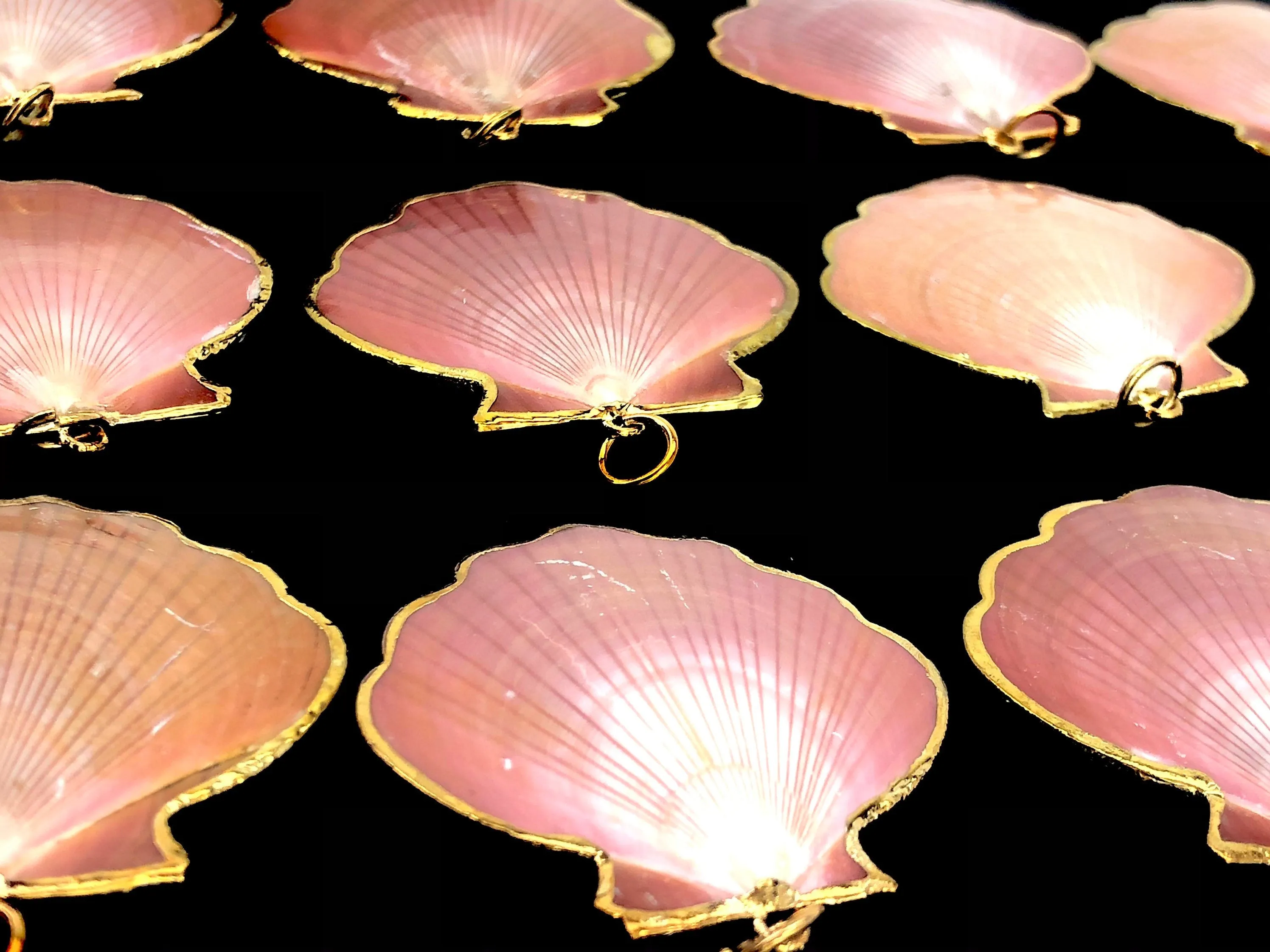 Mother Of Pearl Shells Sku#M665