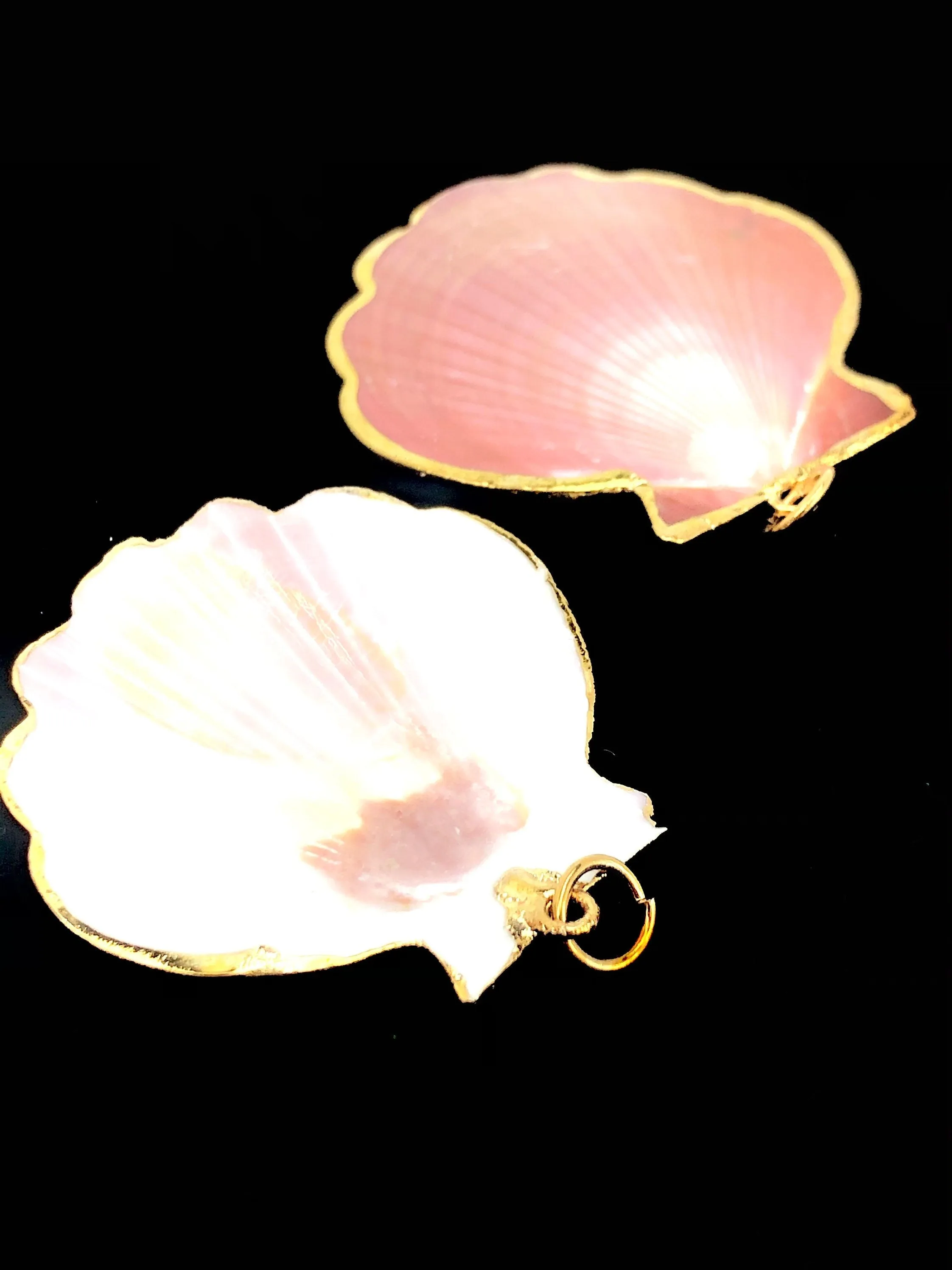 Mother Of Pearl Shells Sku#M665