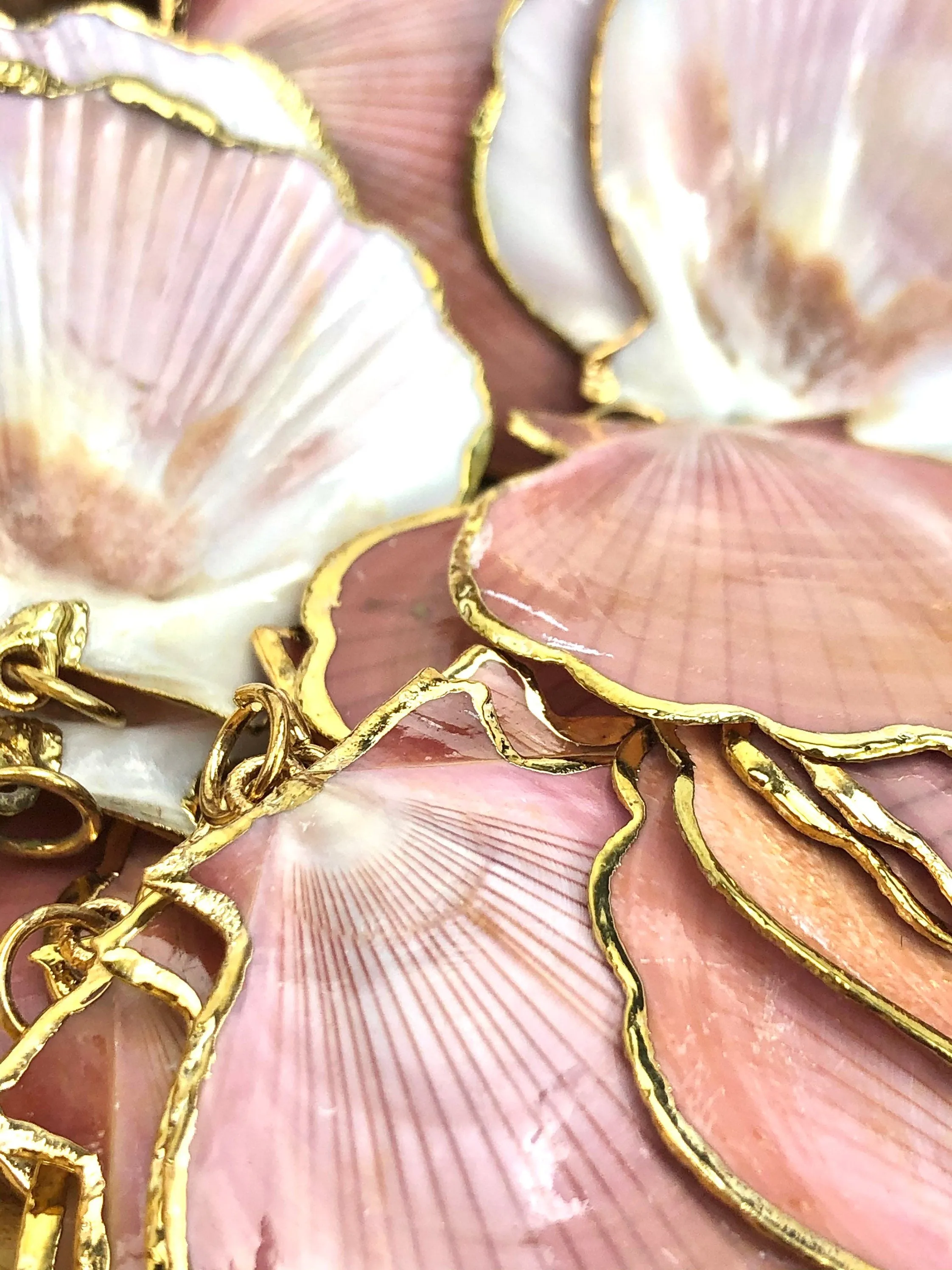 Mother Of Pearl Shells Sku#M665
