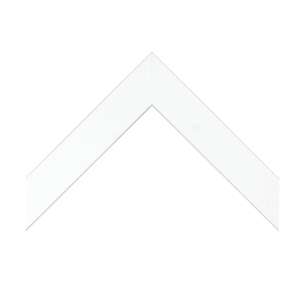 Palm Breeze I