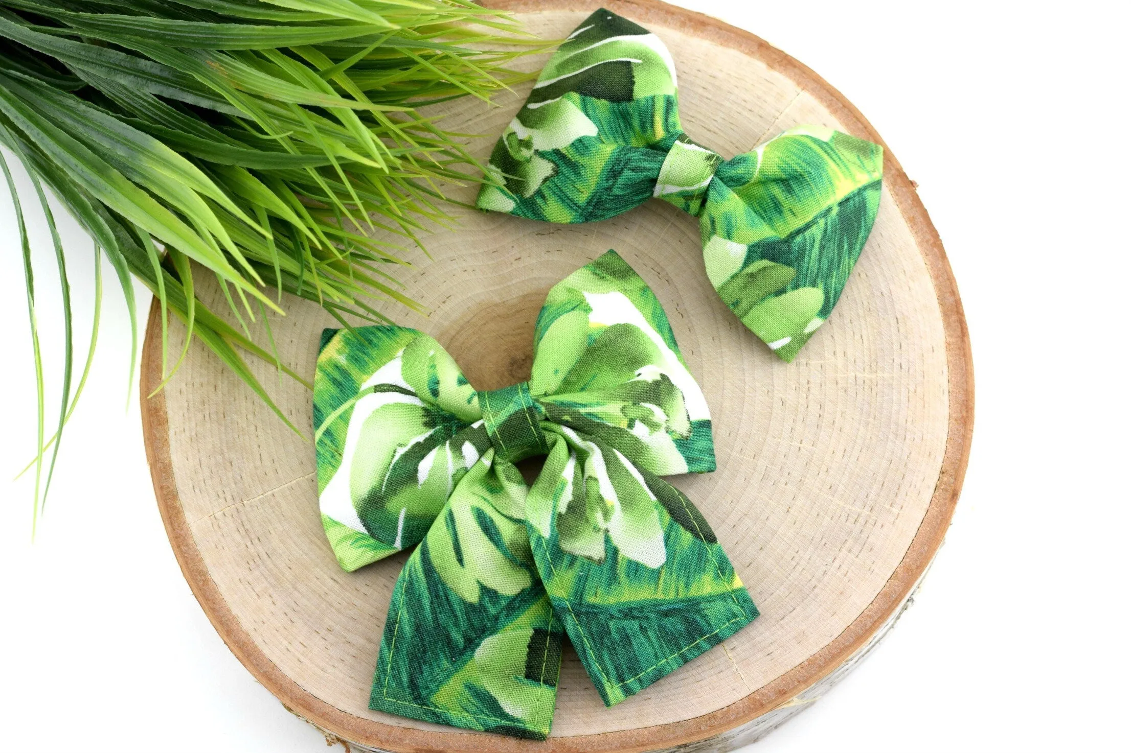 Palm Leaf Dog Collar Bow