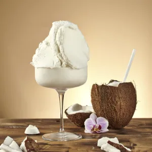 Pregel - Tropical Coconut Sorbetto (10 x 1.35 kg Case)