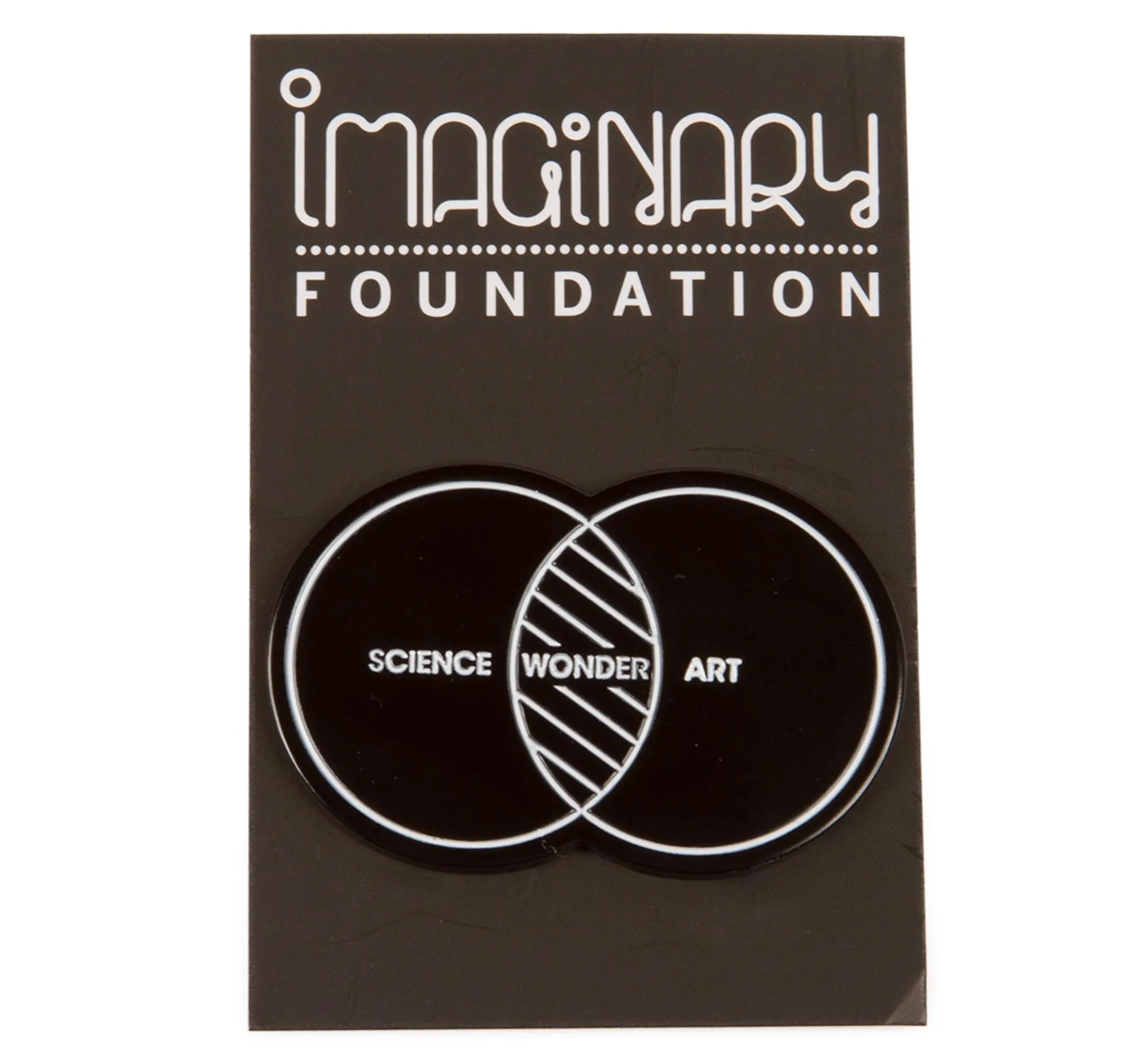 Science Art Wonder Pin