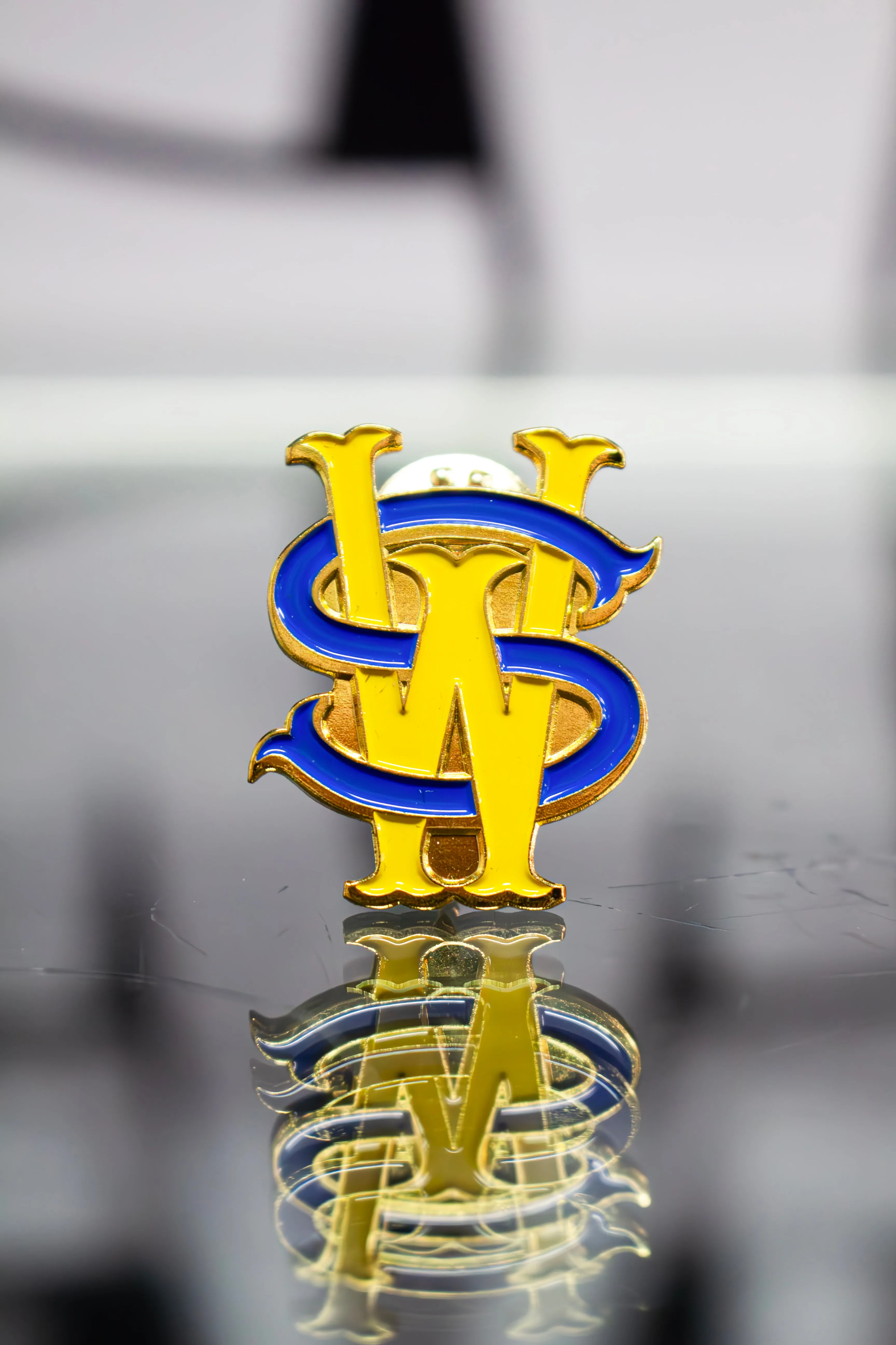Stay Winning SW Pin