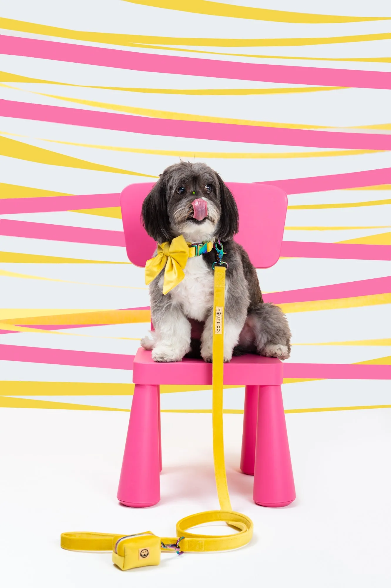 Sunshine Velvet - Dog Leash