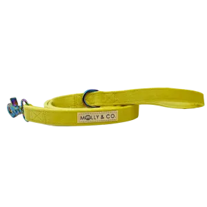 Sunshine Velvet - Dog Leash