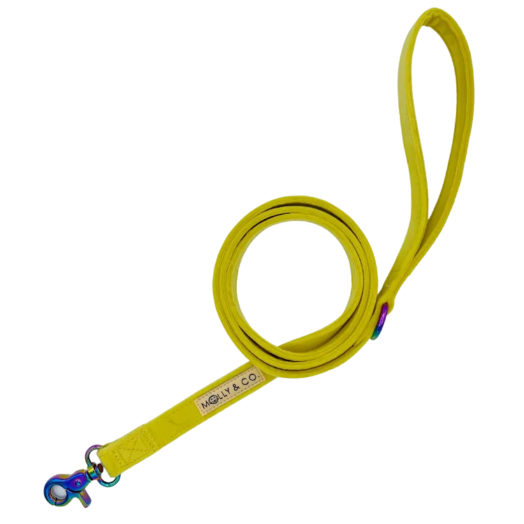 Sunshine Velvet - Dog Leash