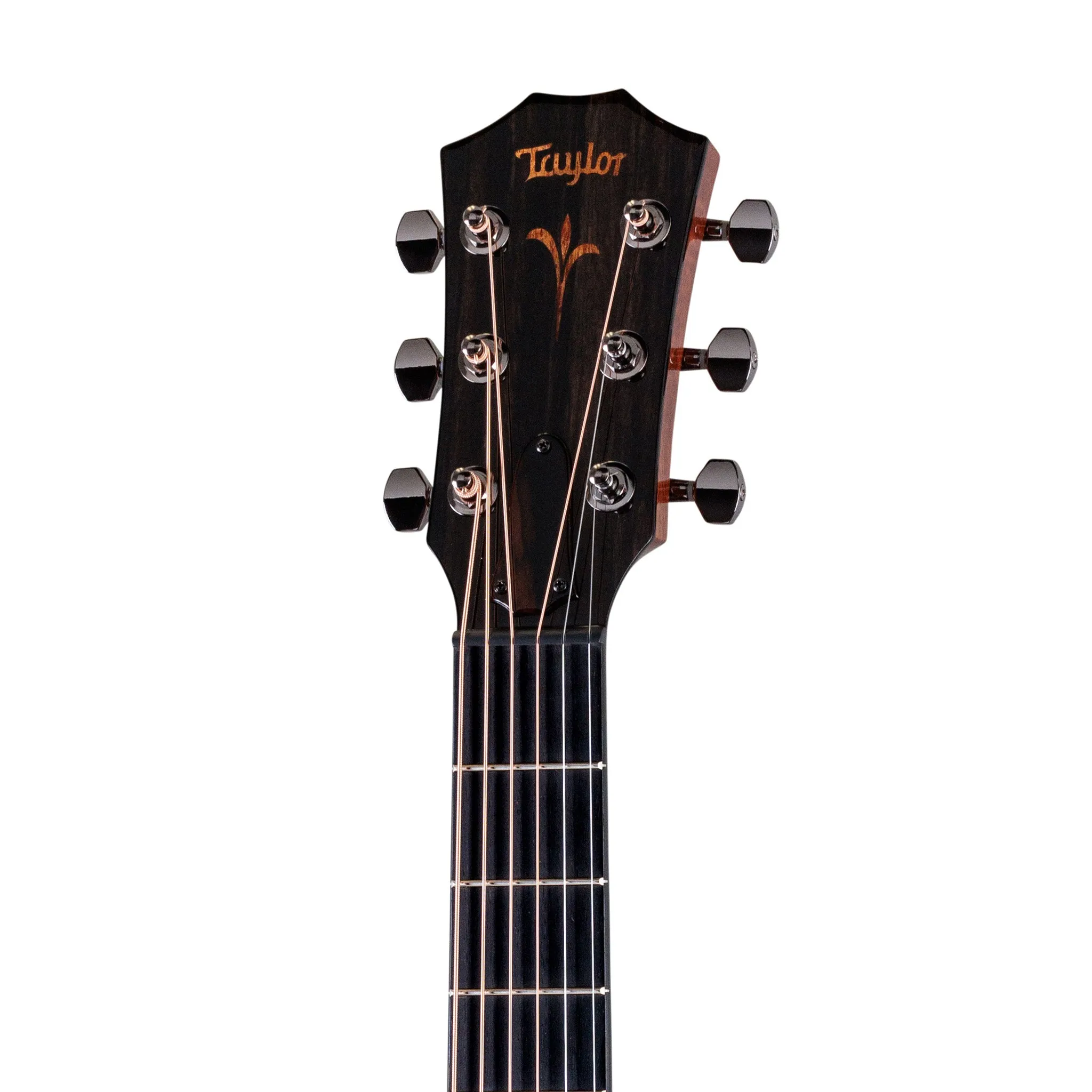 Taylor Custom Grand Theater C11e Mahogany/Sitka Acoustic Guitar w/Bag