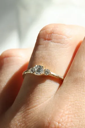 Three Stone Engagement Ring With Hammered Band Texture in Solid Gold