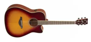 Yamaha FG3 6 String RH FG Red Label Series Acoustic Guitar – Natural w/ Bag